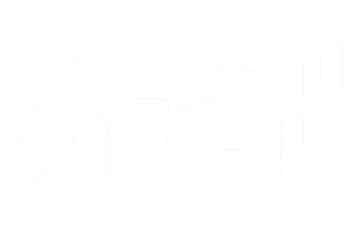 WiiLink WFC Logo